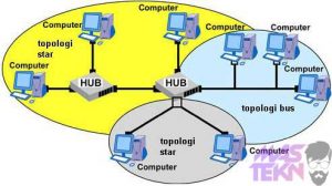Tampilan – Jenis topologi jaringan komputer