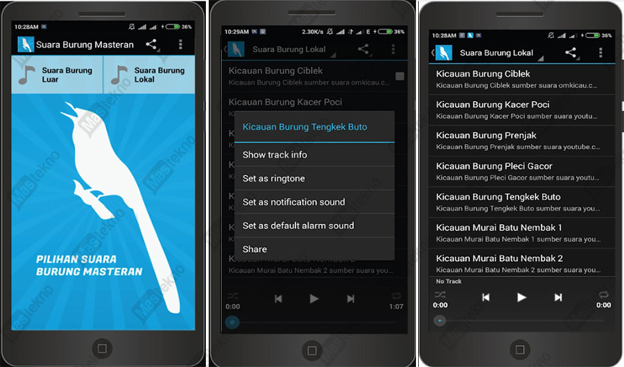 Aplikasi Suara Kicau Burung Android